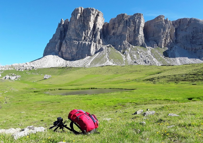 MONDEVAL: le orchidee e la preistoria.